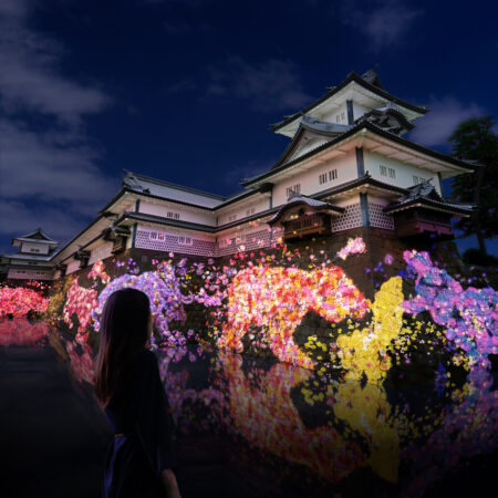 チームラボ《金沢城の石垣に住まう花と共に生きる動物たち》©チームラボ